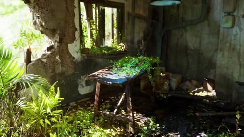 Abandoned Room with a Wooden Table Overgrown By Plants in a Weathered Building