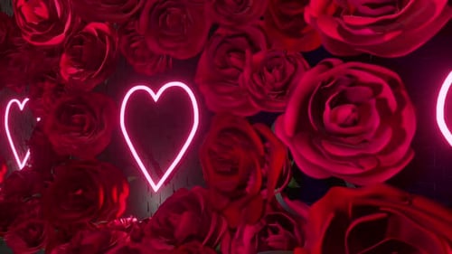 Rose murale Neon 01 HD