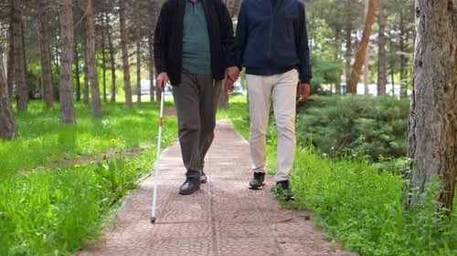 Blindenpädagogik