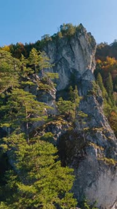 View of Colorful Mountains Forest in Autumn Nature, Vertical Panorama
