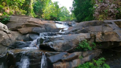 Flight Over a Tropical Rainforest River on a Sunny Day Thailand