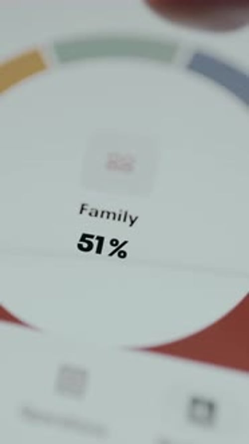 Donut Chart Displays the Percentage Share of Expenses for Family and Health Categories