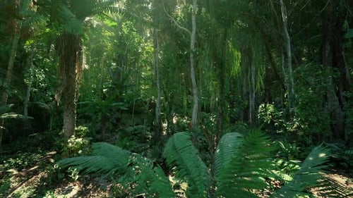 Serene Forest Sanctuary Tranquil Grove for Meditation and Healing