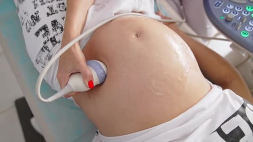 узи датчик и живот беременной женщины