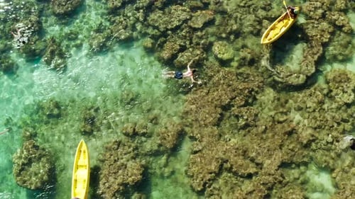 Tourists Snorkeling in the Lagoon Philippines El Nido