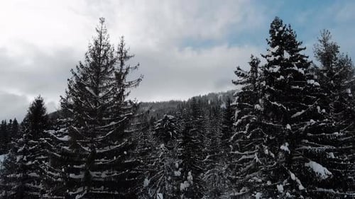 Winter Landscape in the Mountains Aerial View Drone