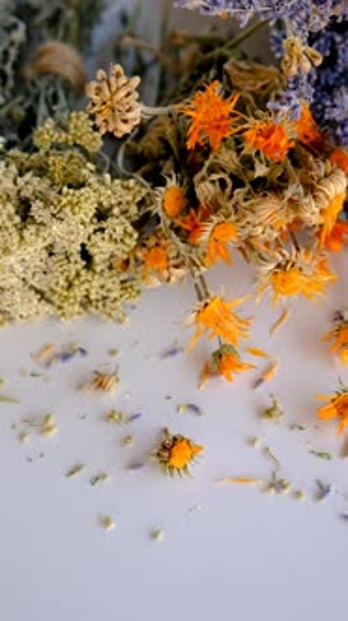 Dried Herbs Panning on a White Background