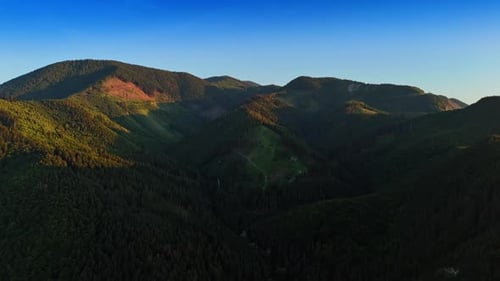 Mountain peaks covered with green forests at sunset.