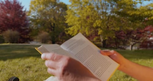 Man Reads a Book Sitting in the Park on the Grass at Sunset