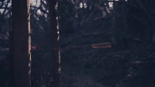 Arrow Striking a Wooden Target in a Forest During Twilight Hours