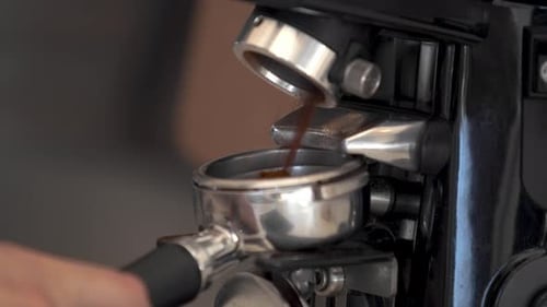Close up, pouring ground coffee into portafilter from coffee grinder