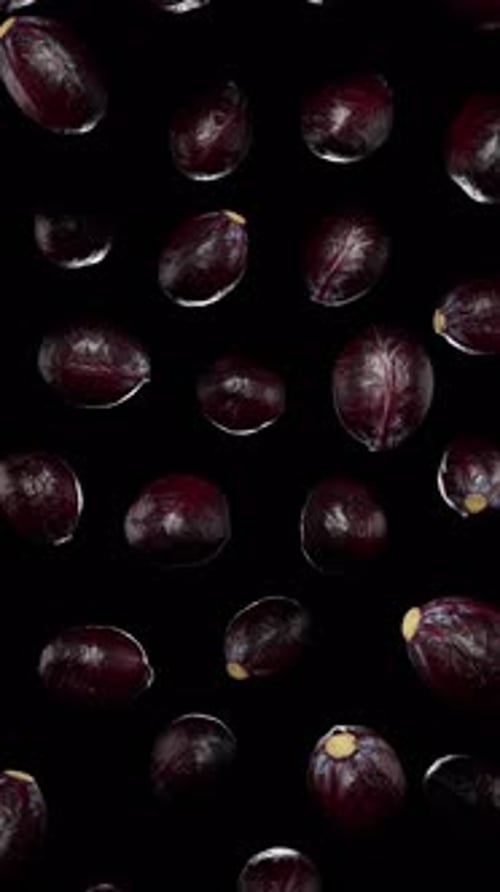 Falling Red Cabbage Leaves Vertical Animation