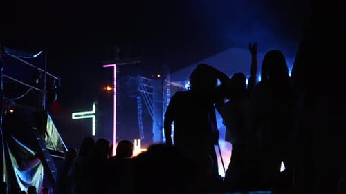 Crowd Enjoying Concert at Music Festival at Night