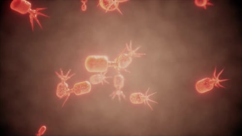 Floating Microscopic Organisms in a Biological Scientific Background