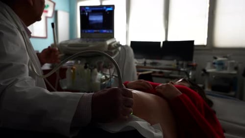 Gynecologist explaining baby's ultrasound scan to pregnant patient