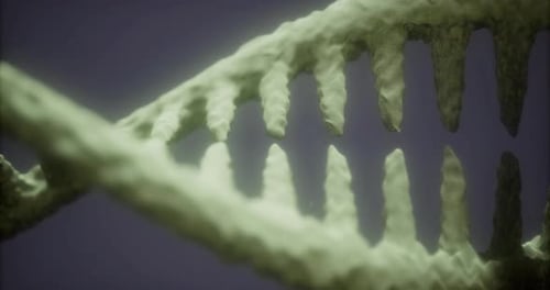 Exploring the Intricate Structure of DNA Through Artistic Visualization