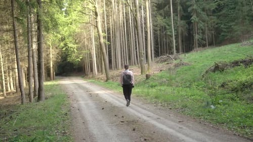 Woman in her 25s is traveling alone with a backpack through the forest in spring. A walk along the f