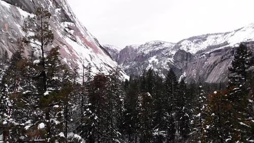 Aerial Drone footage, flying through evergreen treetops in wintery Yosemite Valley, granite cliffs o