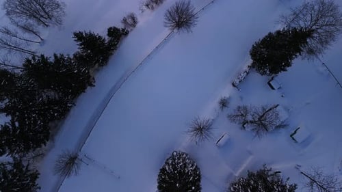 Winter snow covered frozen ground nature forest Switzerland alpine Europe drone view