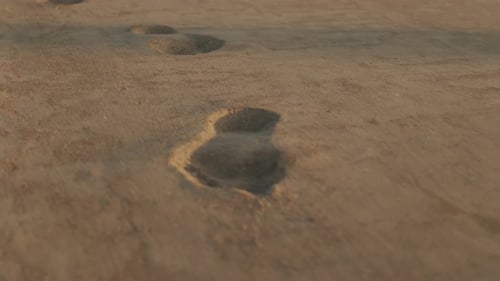 Footprints on Sand Beach in Golden Light