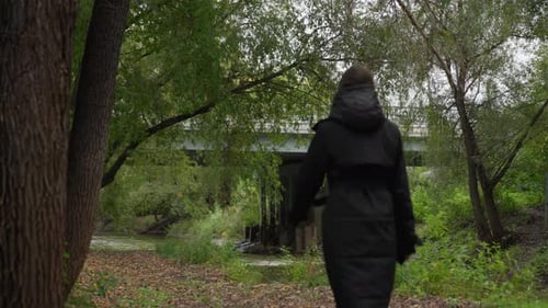 Contemplative Journey Through City Park Quiet Walk with Trees and Water Reflections in City Peaceful