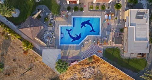 Top down drone shot descending above a pool with dolphins, at a villa, sunrise