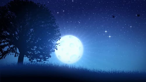 Animated Night Sky with Glowing Moon and Flying Birds