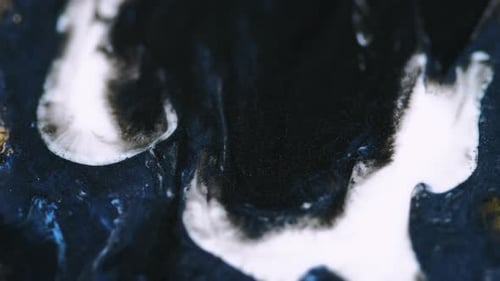Glitter Drip Art Magic Acryl Spill, tinta negra y blanca