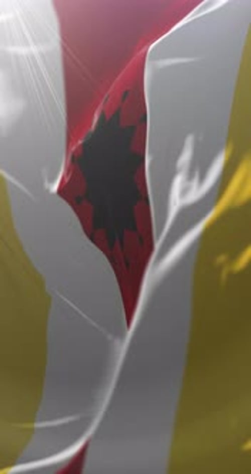 Abstract Waving Flag Animation with Stylized Emblem and Light Rays