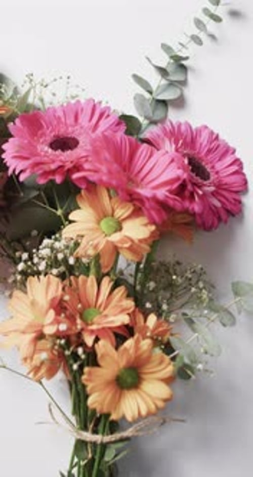 Colorful Daisy Bouquet on White Background