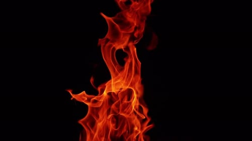 Red fire flame stretching high into the darkness. Blaze isolated at black backdrop.