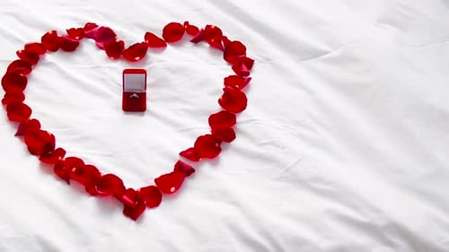 Engagement Ring in Heart of Red Rose Petals