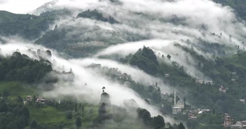 Lap de temps écoulé montrant des brouillards se déplaçant à travers les arbres