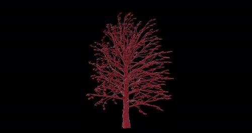 3d Growing Red Heart Tree
