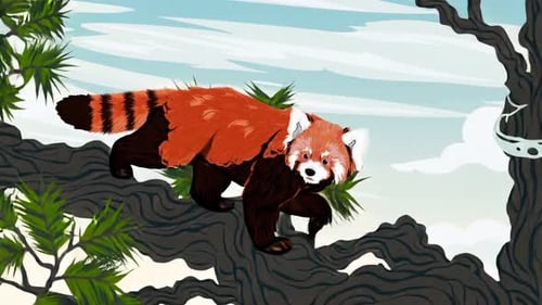 Netter roter Panda, der auf einem Ast im Wald läuft - Natur - Tierwelt, Zeichentrick-Tieranimation