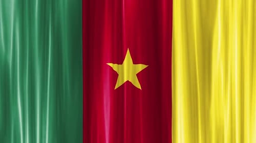 Cameroon National Flag Seamlessly Waving Background Animation
