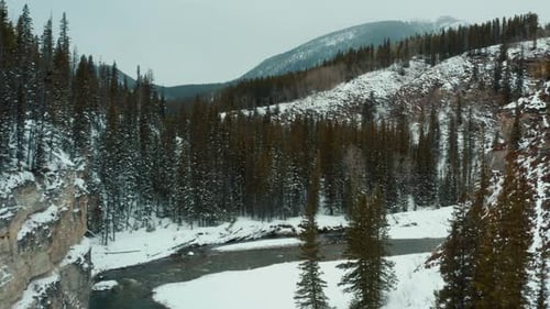Fly over river surrounded with frozen pine tree forest in winter. Cliffs and snow