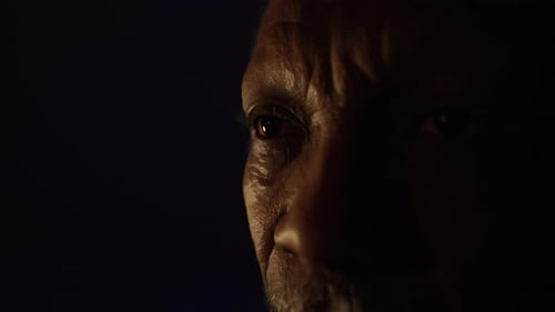 Handsome African Black Man Studio Portrait