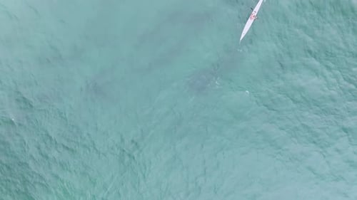 Person Seen Kayaking in Ocean