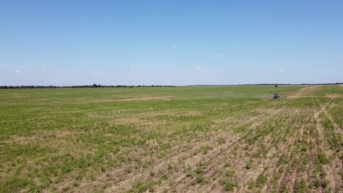 Blue Tractor O.A. Planting Canola On No Till Field