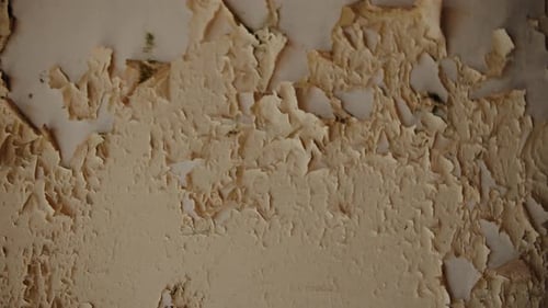 the Peeling Beige Paint on the Wall in the Abandoned Building