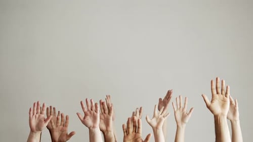 Many Arms and Hands Raised Against Plain Background