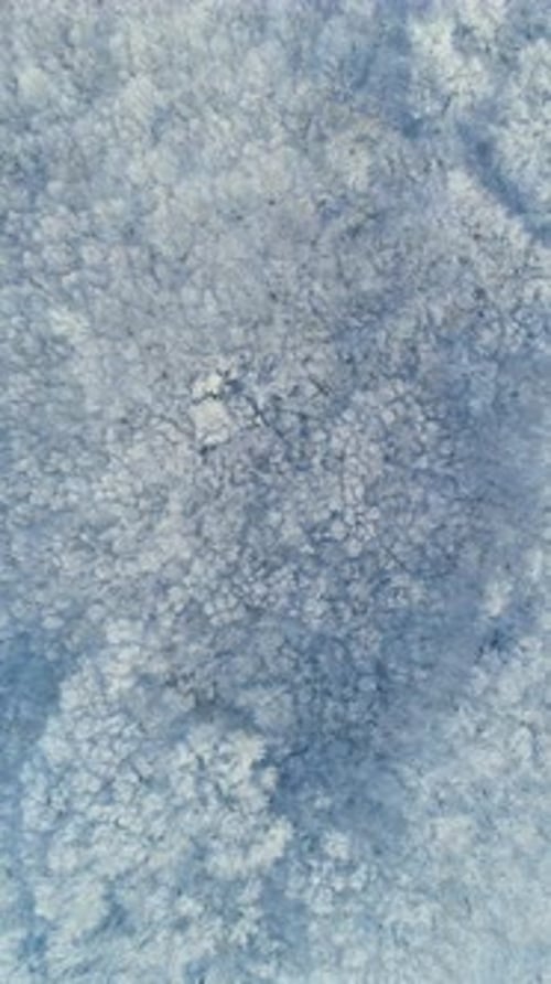 Aerial view of winter forest covered with snow