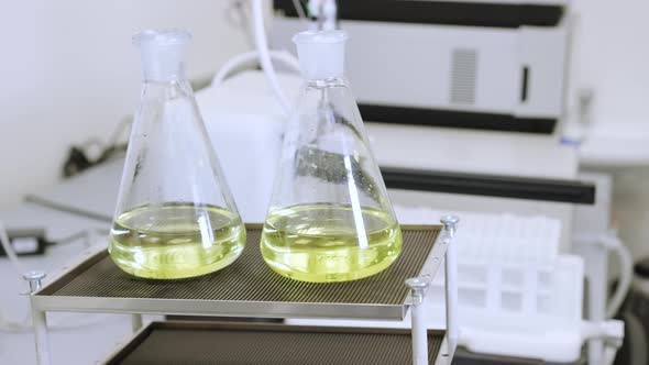 Samples Shaking on the Laboratory Shaker Preparing Them for Further ...