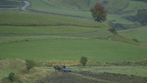 A horse and cart in trundle along in rural Romania