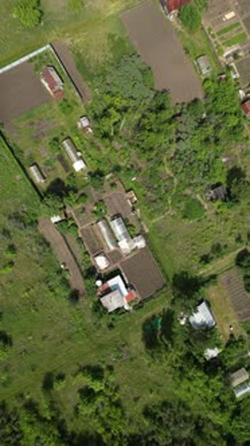 Allotment Gardens Evolve Over Time Showcasing the Dedication of Gardeners in Cultivating Their Plots