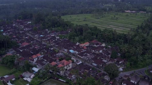 Aerial view of village with rice terraces at sunrise, Indonesia.