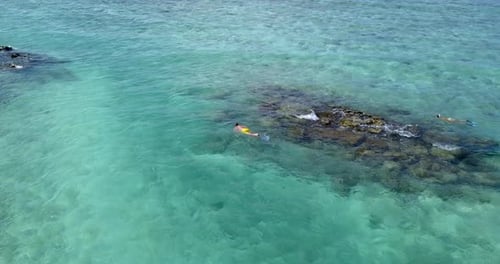 Aerial, young man and woman snorkeling, exploring Maldives reef in beautiful sea
