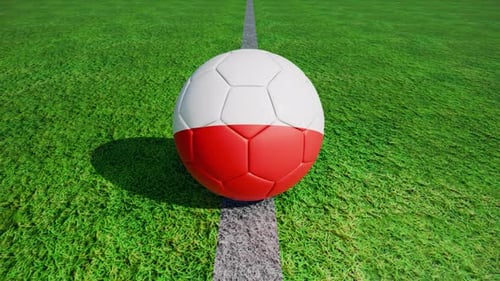 Animated 3D Soccer Ball with Country Flags on Field