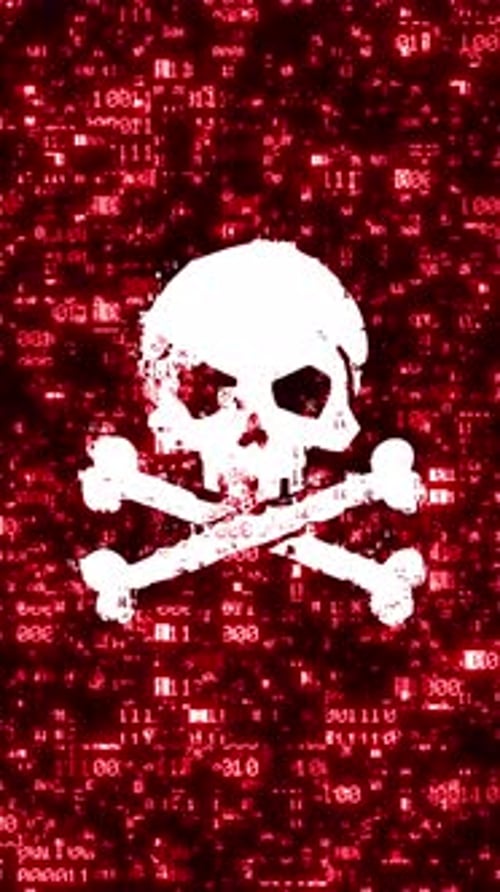 Cyber Security Glitch Skull and Crossbones Binary Code Animation